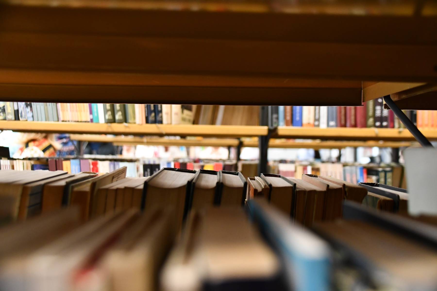 Почетна 475123863 948095137300048 2990123077128227807 N